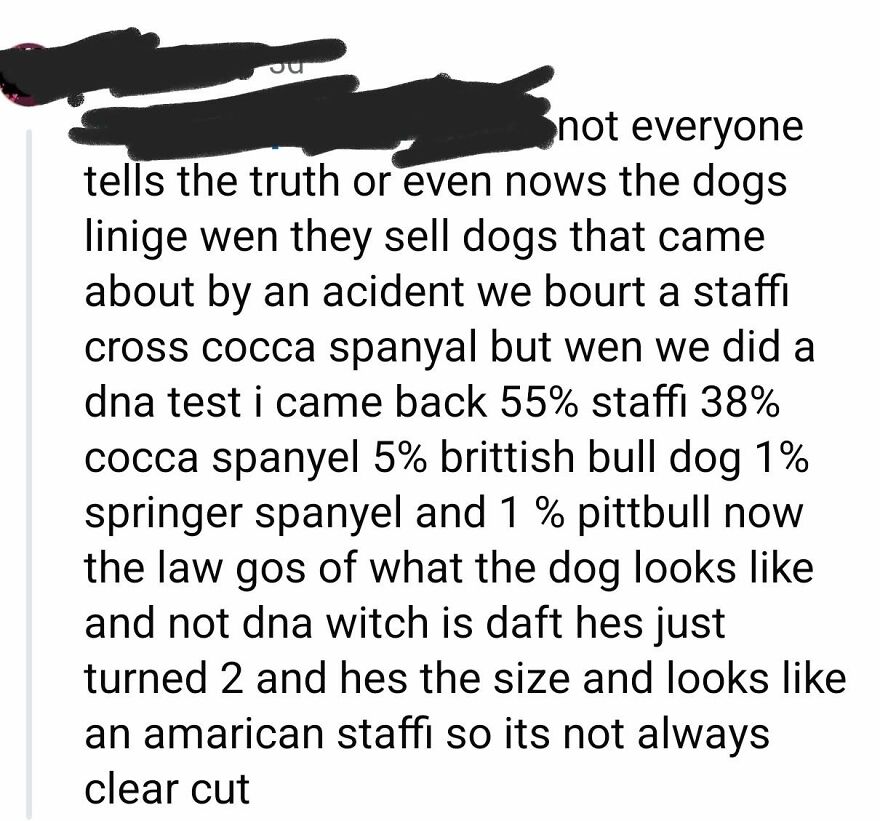 A social media comment showing funny spelling and grammar fails about dogs