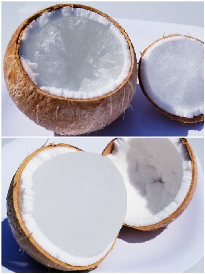 A cool photo showing what happens if a coconut is frozen and split open, revealing frozen coconut water.