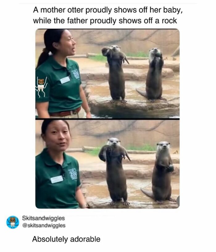 Random-Humorous-Memes