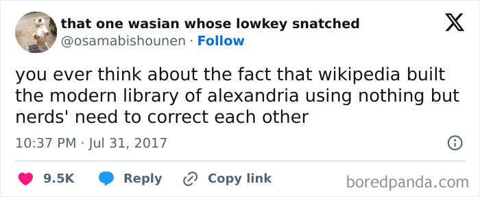 A tweet from the Delusions of Adequacy online group, discussing Wikipedia and the modern library of Alexandria.