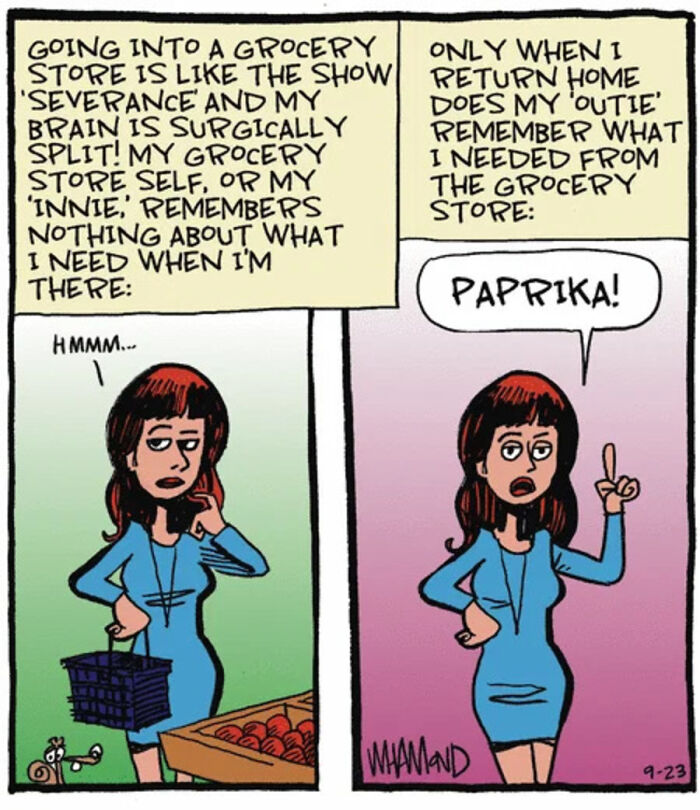 Comic showing a woman forgetting grocery needs until returning home in clever comic style