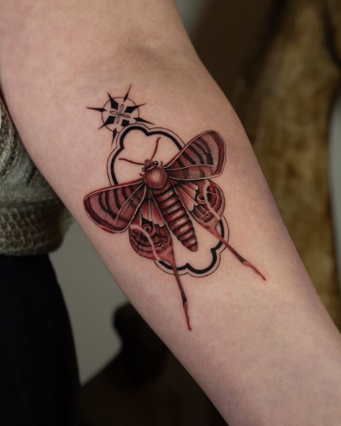 Moth tattoo with intricate details nature ink on forearm
