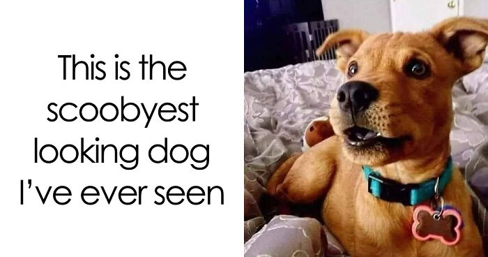 70 Hilarious And Sad 90s Memes, Reminding Of That Great World We Had, And Lost Irrevocably (New Pics)