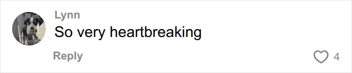 A heartbreaking reaction comment about the tragic accident involving a UGA student. A heartbreaking reaction comment about the tragic accident involving a UGA student.