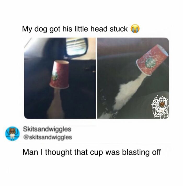 Random-Humorous-Memes