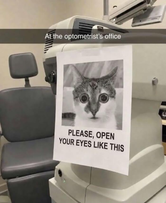 A funny sign at an optometrist's office with a wide-eyed cat saying: PLEASE, OPEN YOUR EYES LIKE THIS.