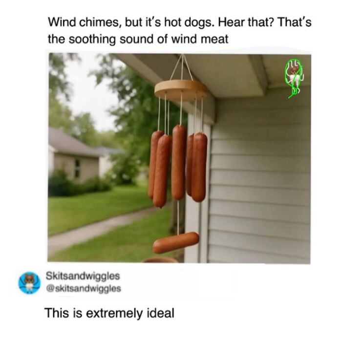 Random-Humorous-Memes