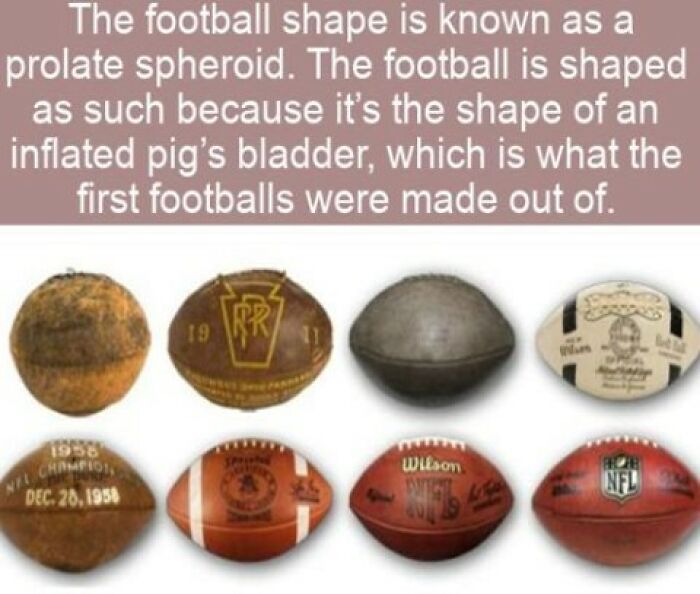 Evolution of football designs over time featuring facts about its prolate spheroid shape.