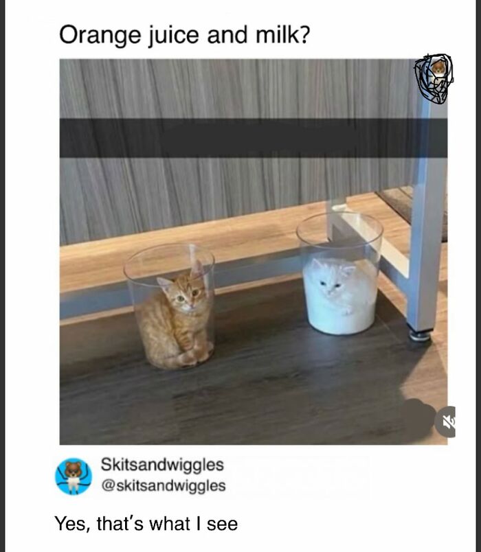 Random-Humorous-Memes