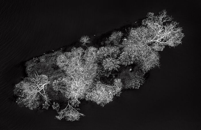 Bird Island, Culiacan, Mexico From The Series 'The Unknown Landscape Of Mexico' By Brian Overcast
