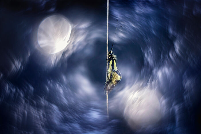 Vortex From The Series 'Art’scalaphe' By Thibault Andrieux