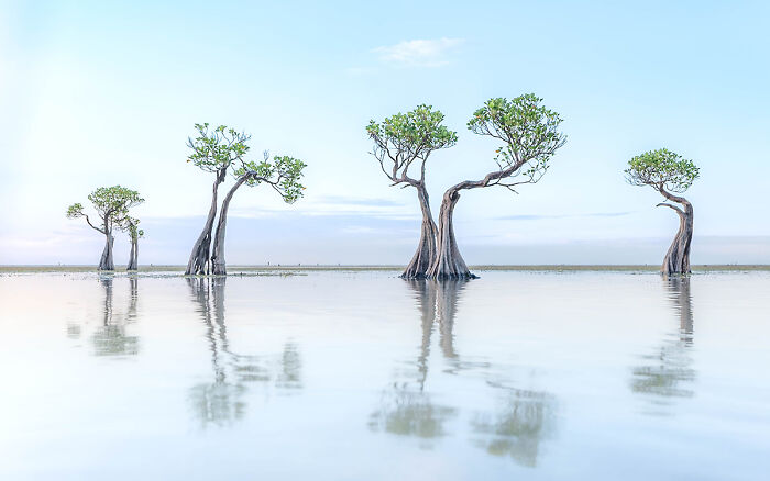 Living Coastlines By Thibault Gerbaldi