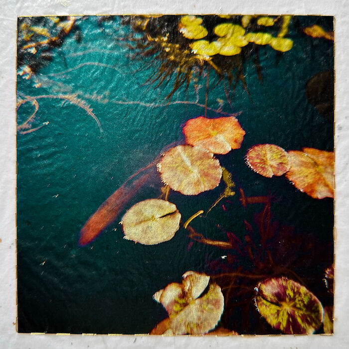 Pause From The Series 'The Color Of Presence' By Teri Figliuzzi