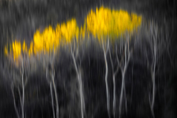 Apparent Motion By Dario Bonetto