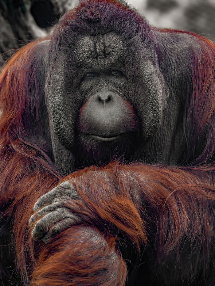 Relative 7 From The Series 'The Gaze' By Jose Antonio Azcutia
