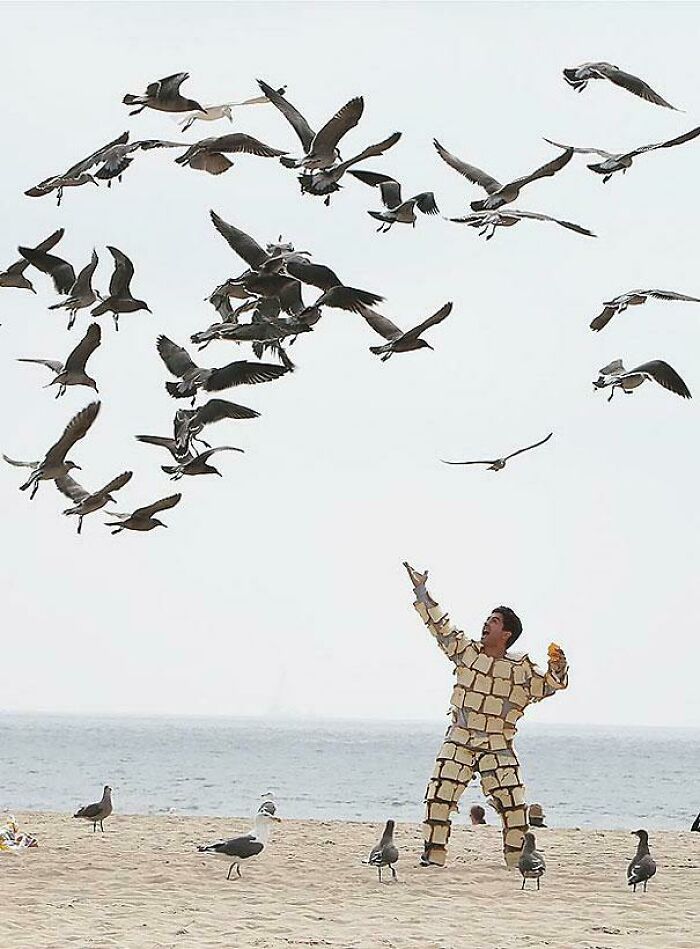 Unhinged images of a man in a bread suit being attacked by a flock of seagulls on a beach.
