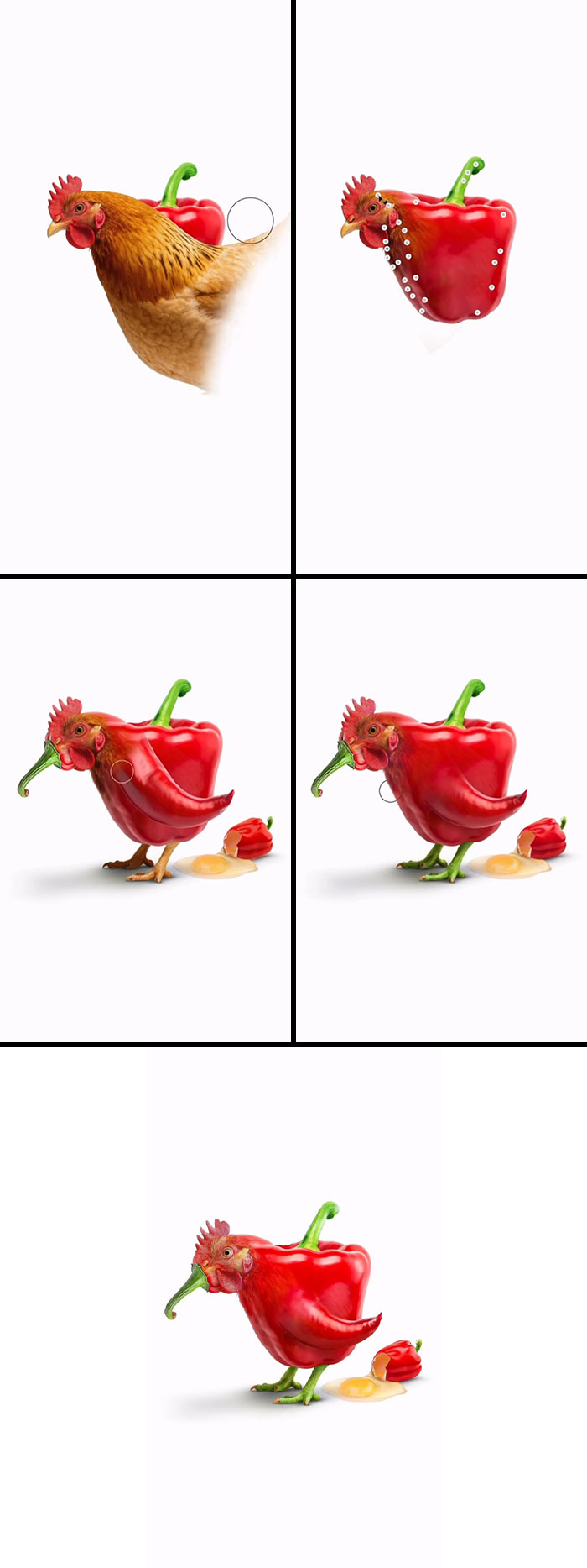 Absurd animal hybrids: A red bell pepper is transformed into a chicken with tiny pepper feet, an artist creation.