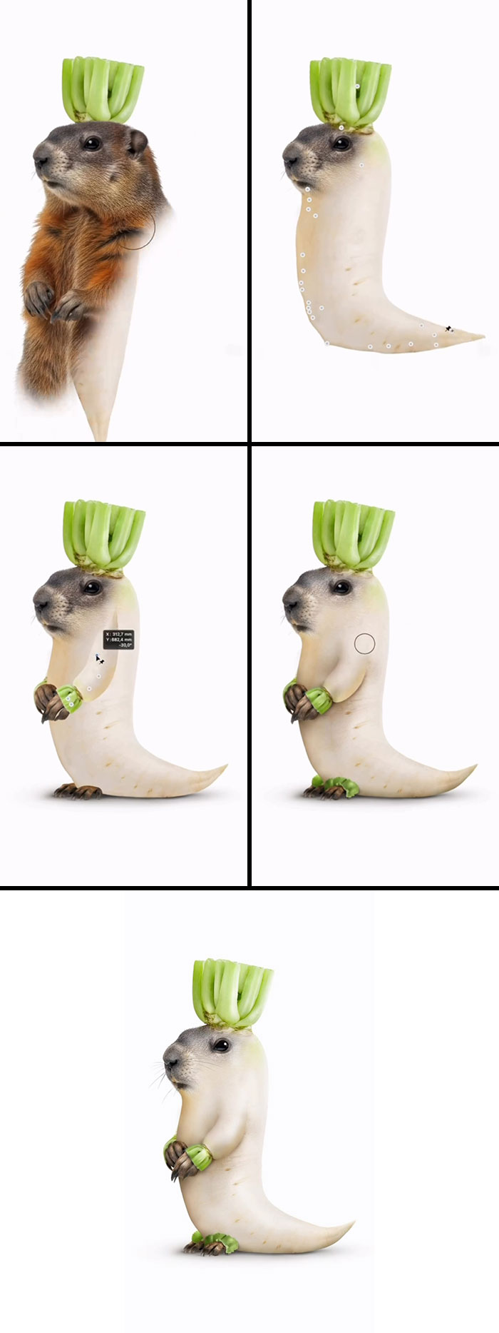 Absurd animal hybrids: A marmot is transformed into a radish body with celery leaves on its head, an artist creation.