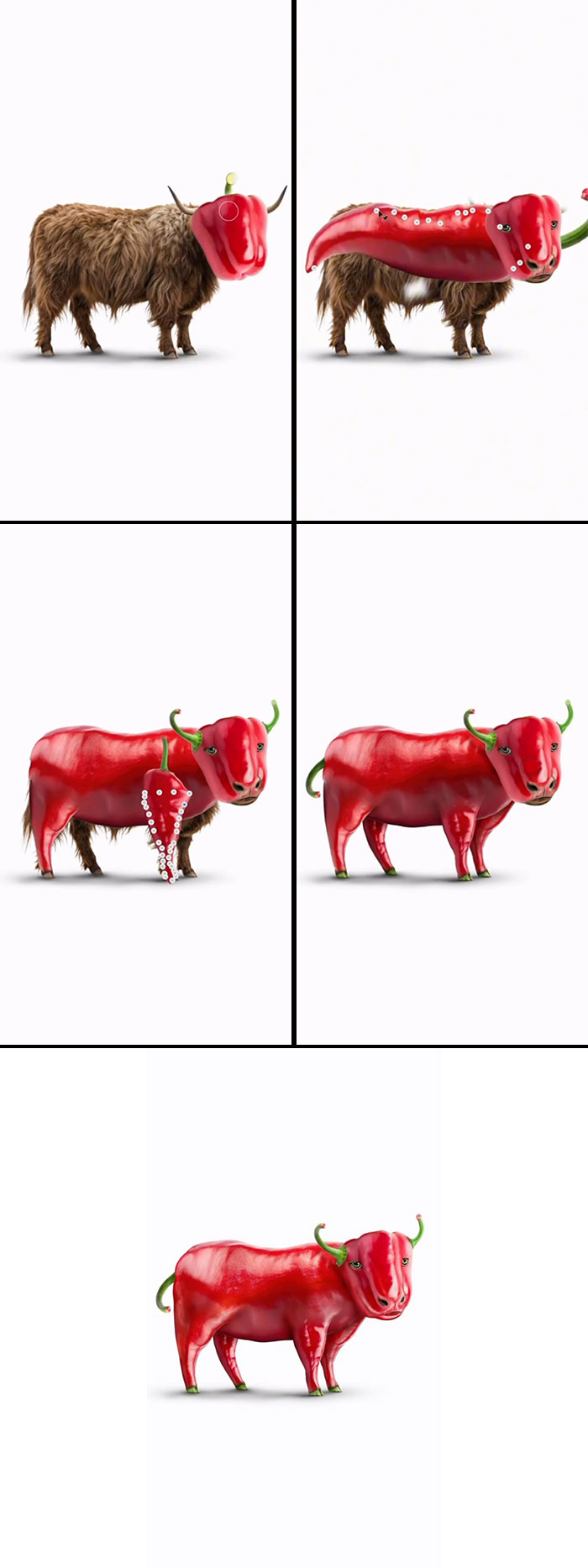 Absurd animal hybrids: A furry brown bull is turned into a glossy red pepper with horns, an artist's creation.