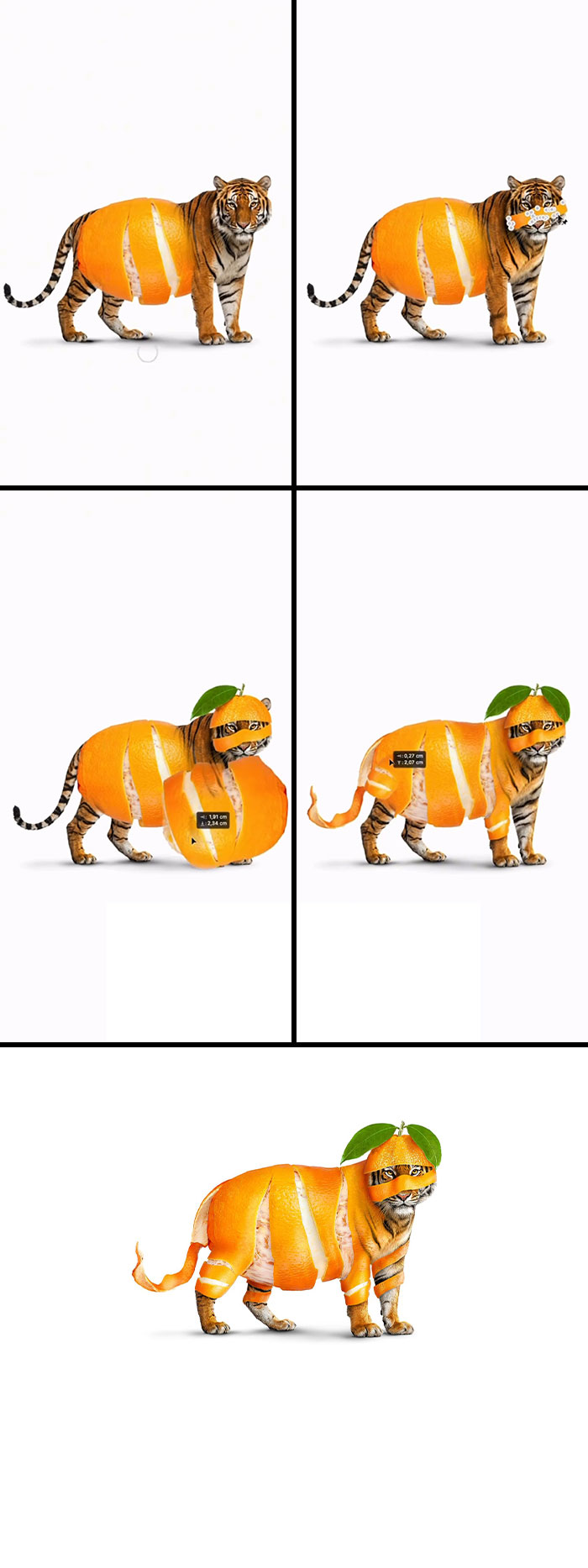 Absurd animal hybrids: A tiger is creatively transformed into an orange fruit hybrid, showcasing the artist's work.