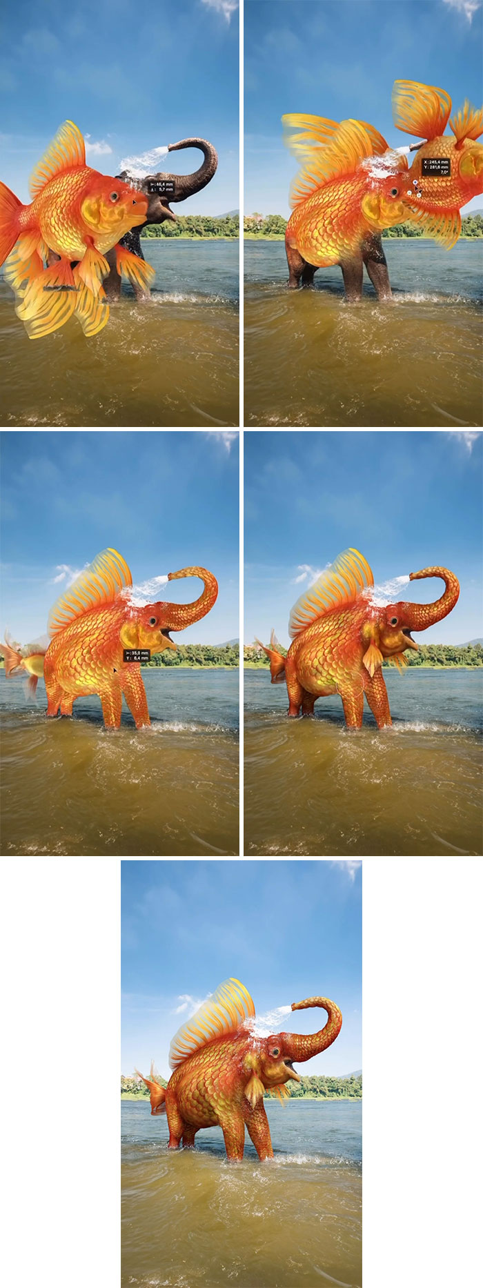 A sequence showing the creation of an absurd animal hybrid: an elephant with the fins and tail of a goldfish.