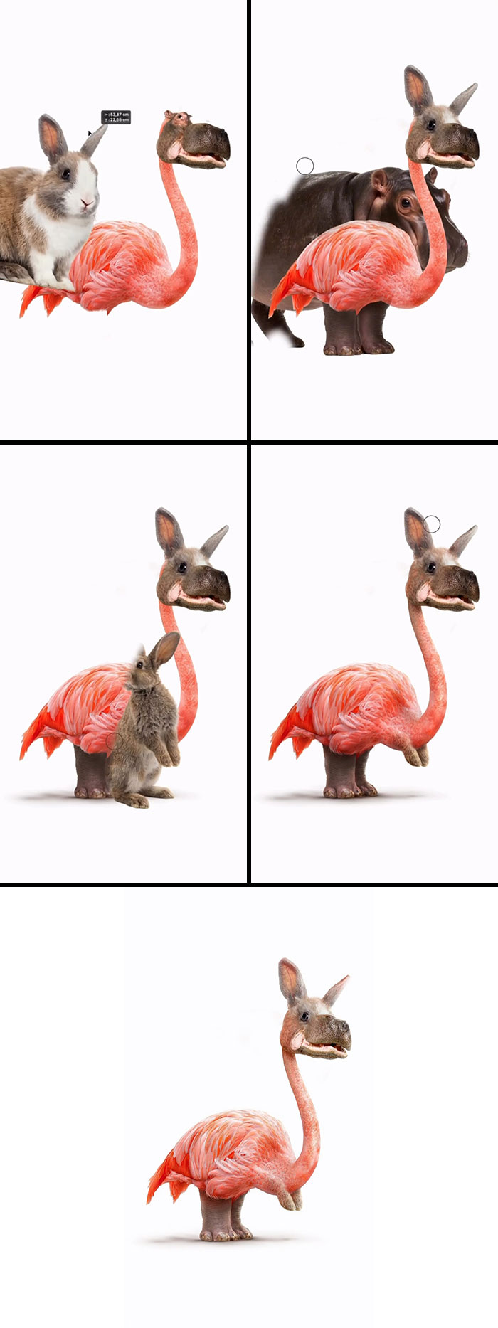A sequence showing the creation of an absurd animal hybrid: a flamingo with a hippopotamus head and bunny ears.