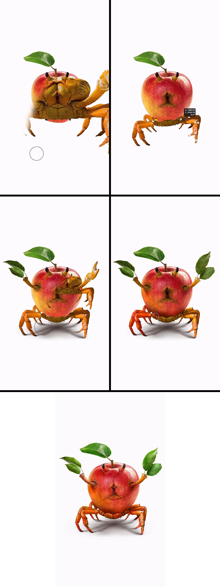 A visually striking combination of a crab and an apple, forming an absurd animal hybrid from the artist's fever dream.