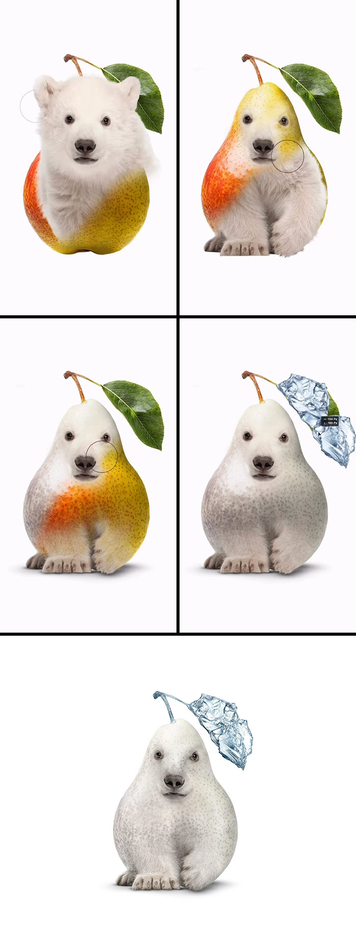An artistic image featuring a polar bear and a pear, creating an absurd animal hybrid that looks like a fever dream.