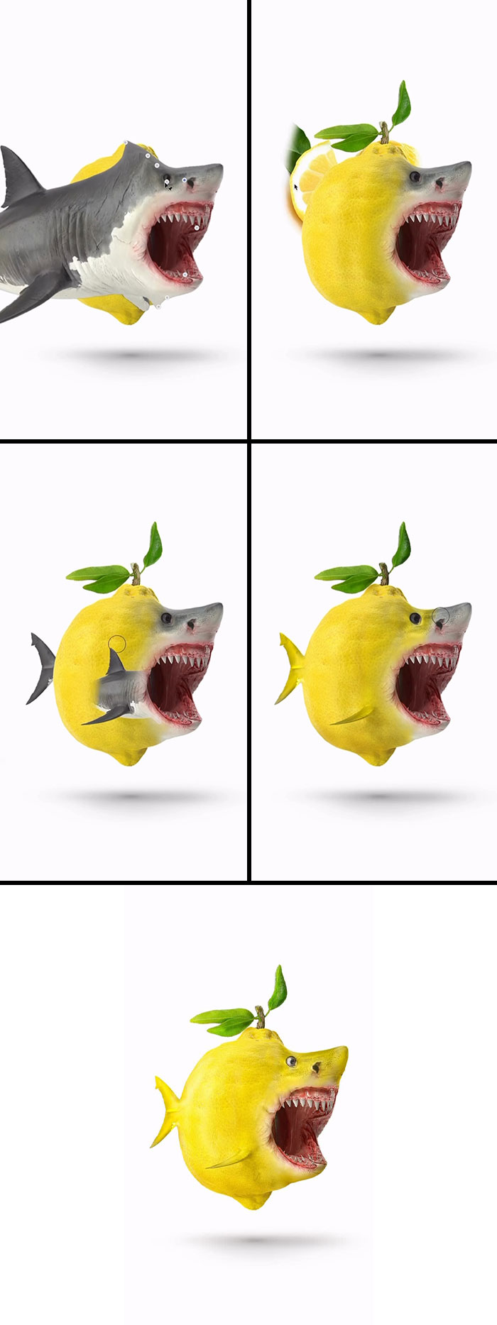 A creative collage of a shark and a lemon, showcasing an absurd animal hybrid from the artist's fever dream.