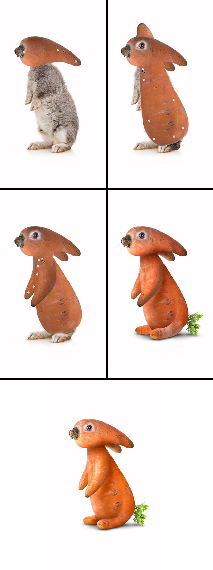 Absurd animal hybrids: A rabbit made from a carrot.