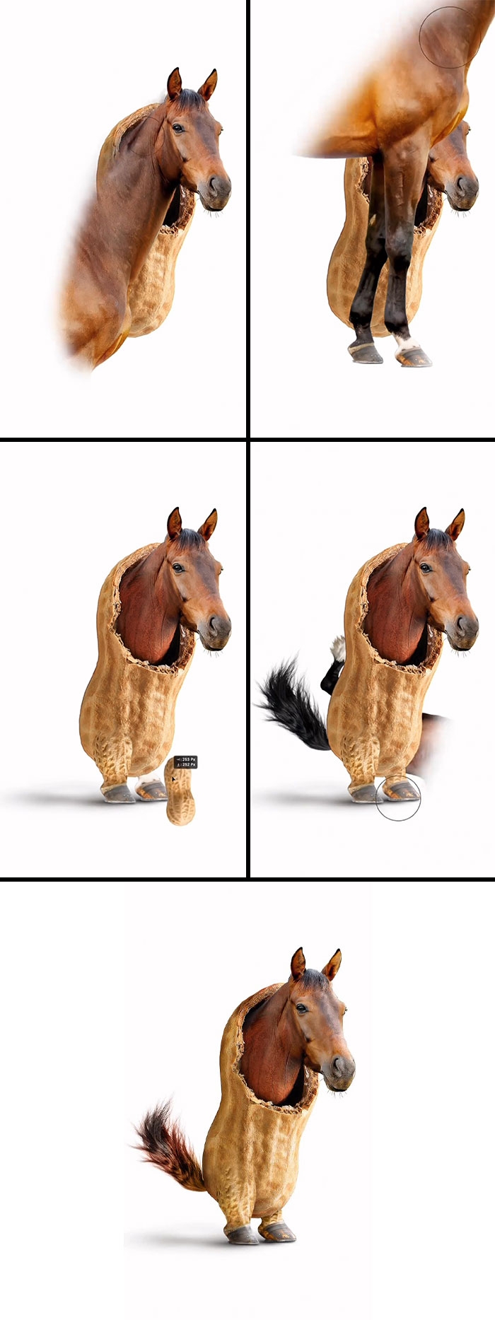 Absurd animal hybrids: A horse emerging from a peanut shell.