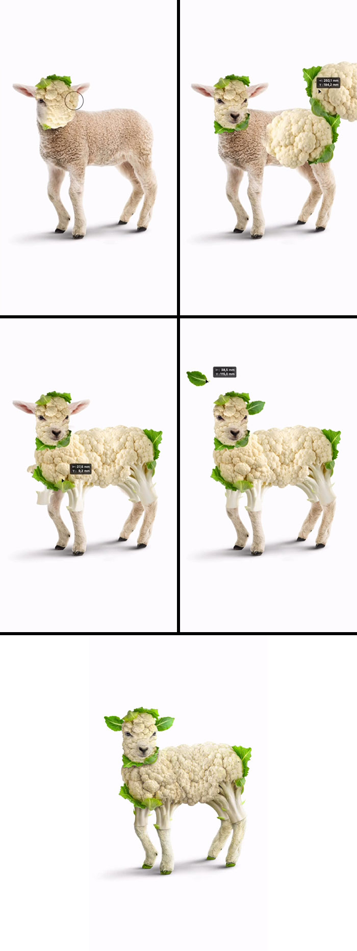 Absurd animal hybrids: A lamb-cauliflower hybrid, with a lamb's head and cauliflower florets forming its wool, a clever blend.