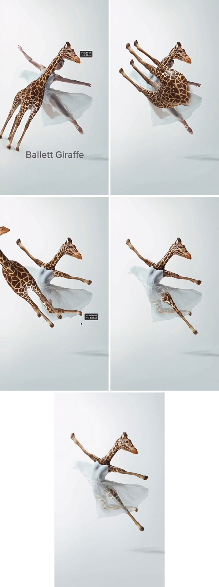Animal hybrids art: A ballerina with a giraffe head and pattern. Absurd animal hybrids, creative artwork, fever dream creatures.