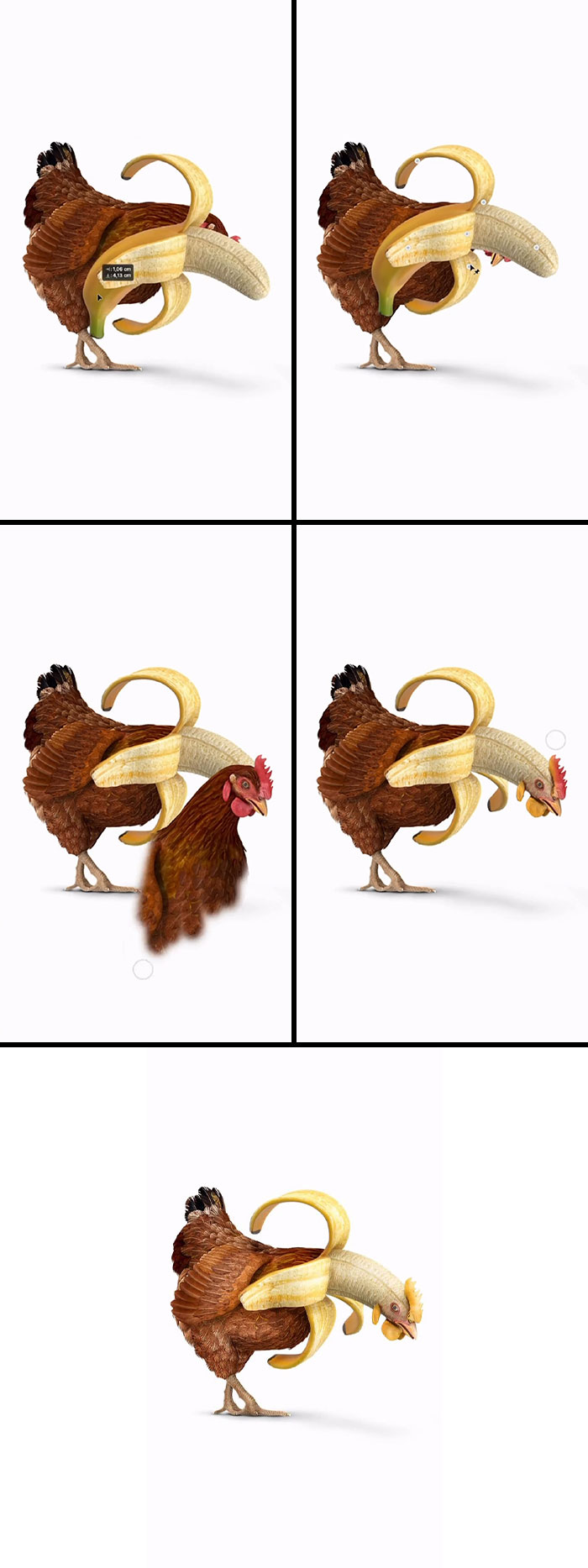 Animal hybrids art: A chicken body with a banana peel head and tail. Absurd animal hybrids, creative artwork, fever dream animals.