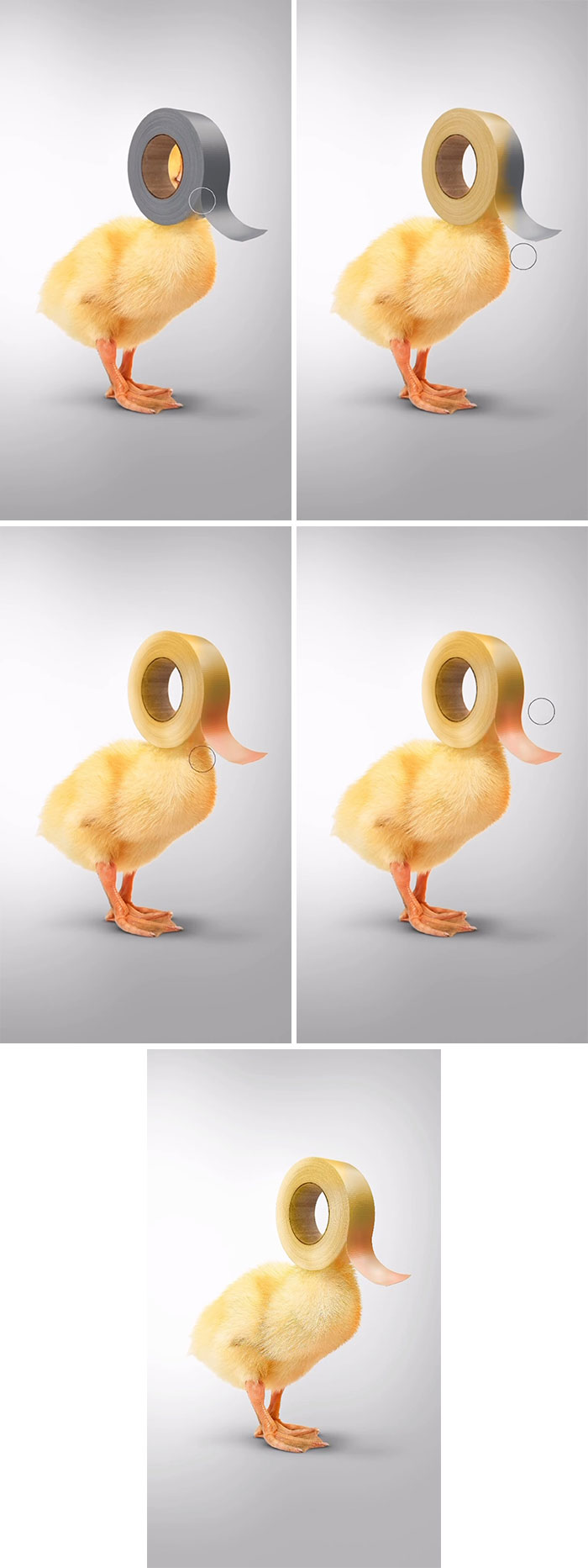 Animal hybrids art: A duckling with a roll of tape on its head. Absurd animal hybrids, creative artwork, fever dream animals.