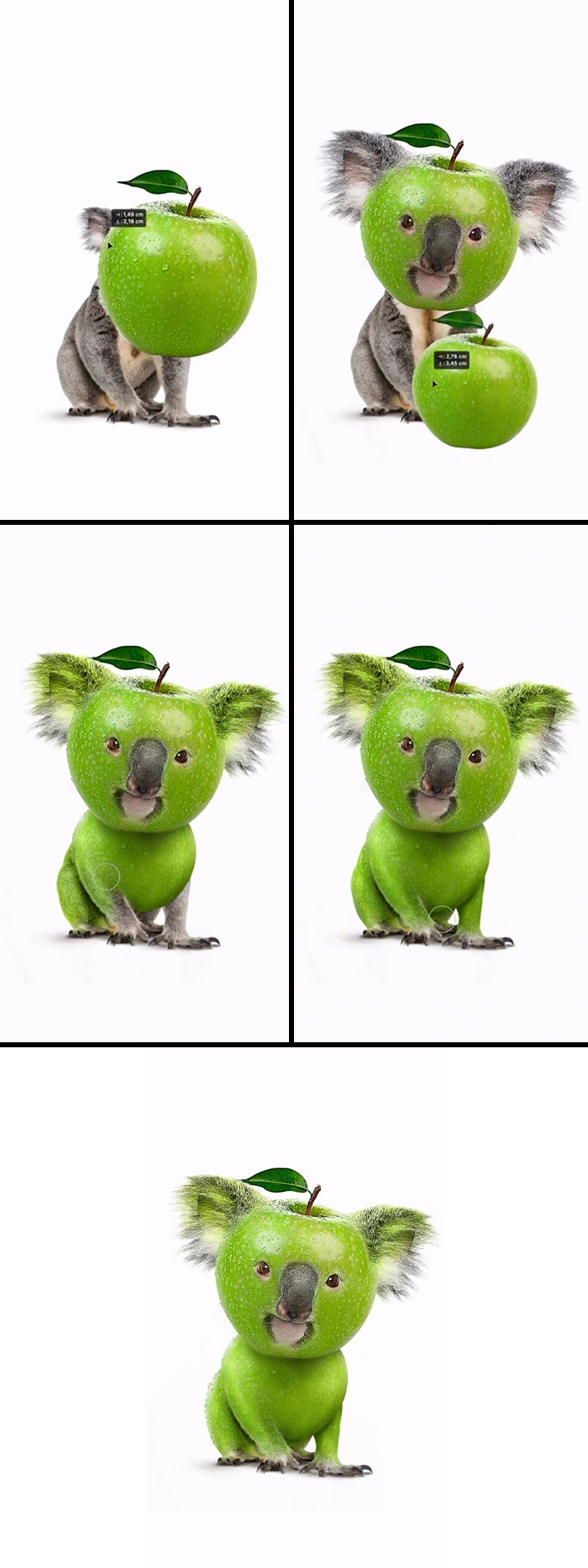 Animal hybrids art: A koala with an apple for a head. Absurd animal hybrids, creative artwork, fever dream creatures.