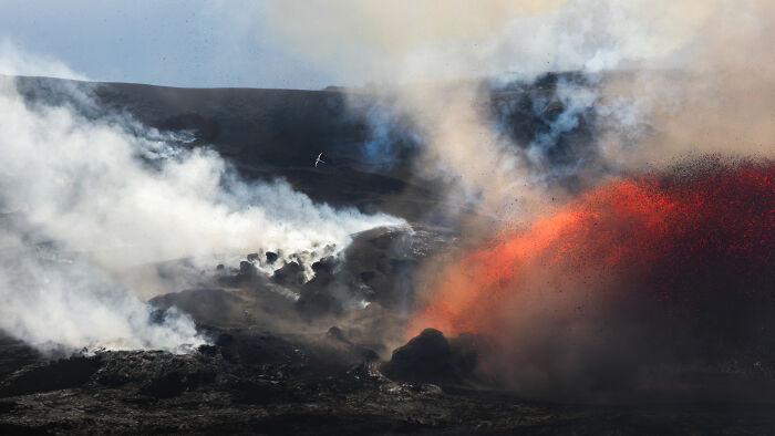 A spectacular volcanic eruption with fiery lava and white smoke, an Audubon Photography Awards winner.