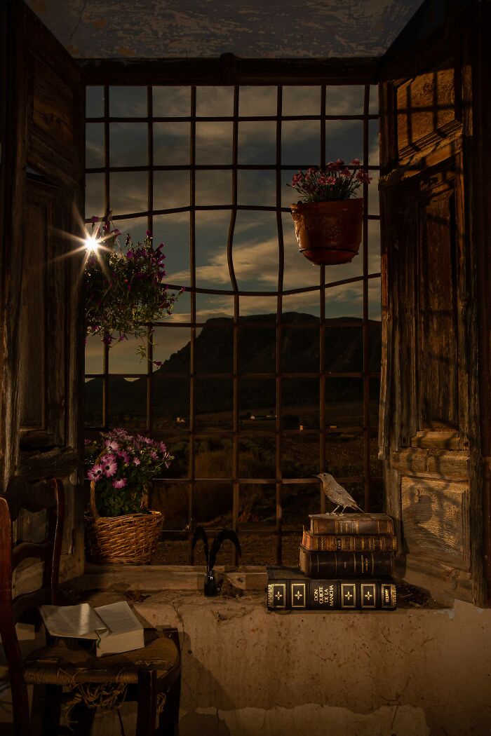 Bronze, Urban Birds: The Window Of Dreams By Julian Fernandez Quilez