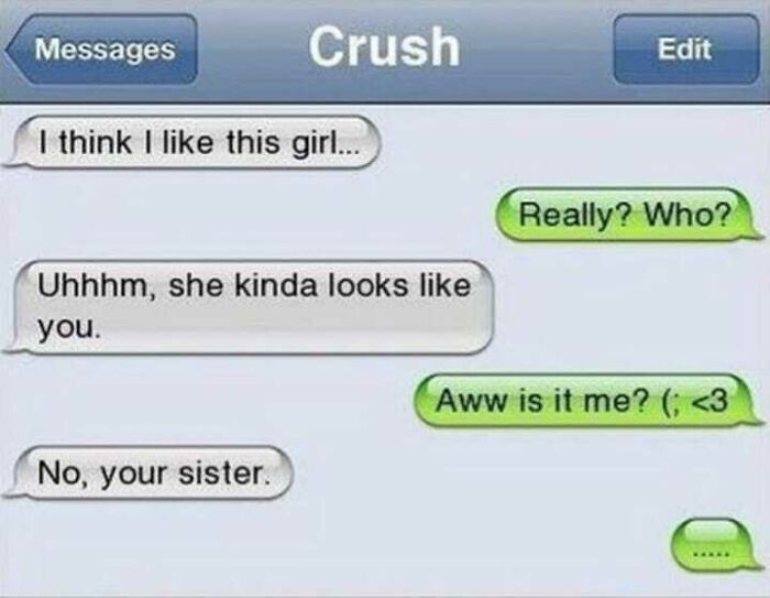 Savage text reply revealing crush likes the sister, not the recipient.
