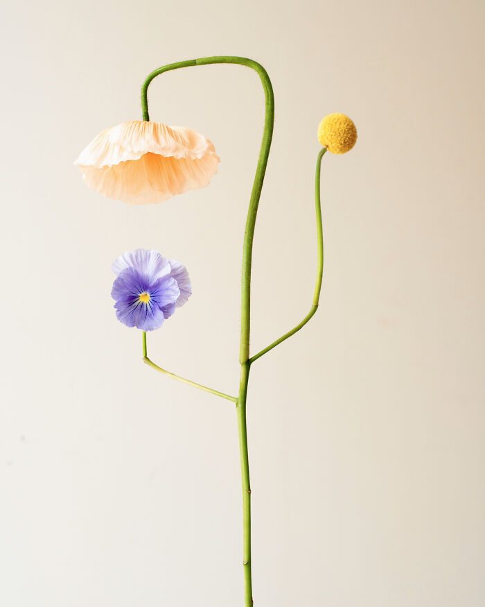 Jennifer Latour's photography displays intricate flower compositions in soft hues, arranged on a delicate stem against a light background.