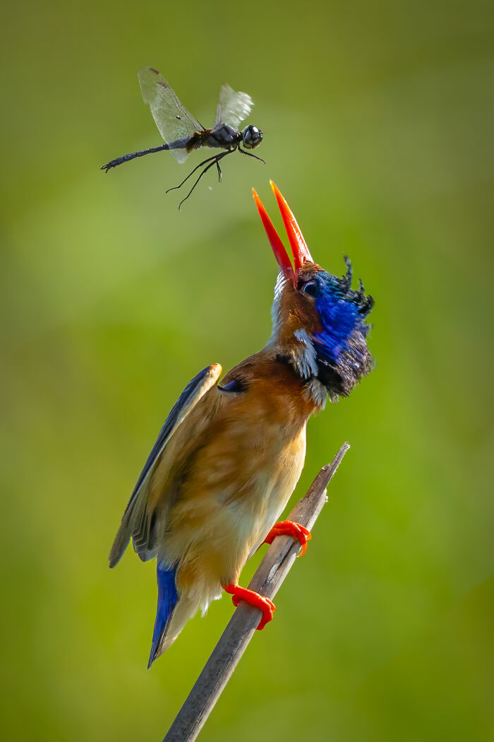 Brief Encounter By John Grusd