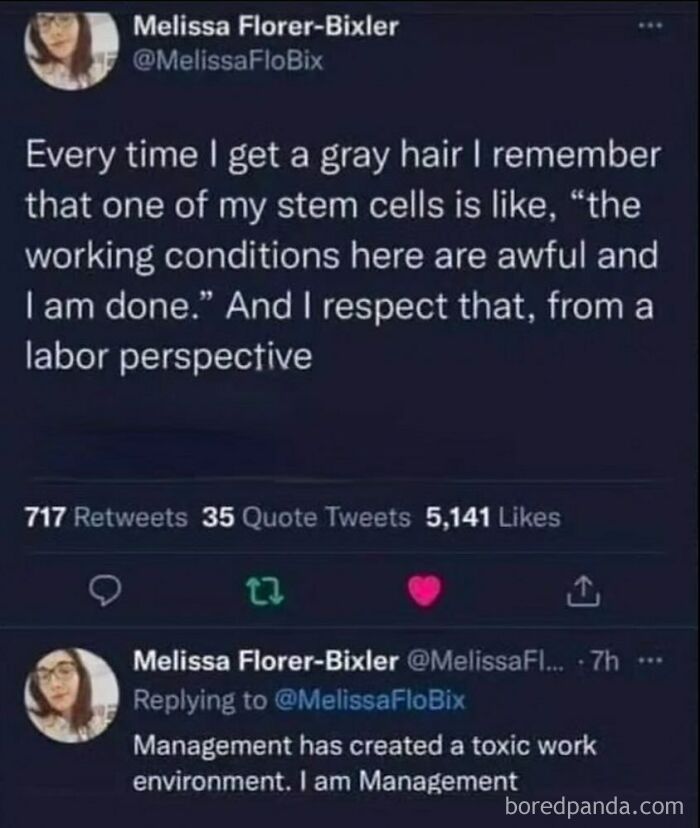 A funny meme tweet from Melissa Florer-Bixler about gray hairs and working conditions, fluent in sarcasm.