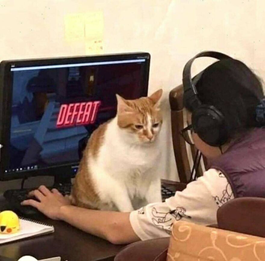 A cat sits on a desk next to a person playing a video game that shows 'DEFEAT' on screen, a chaotic and disturbing pic.