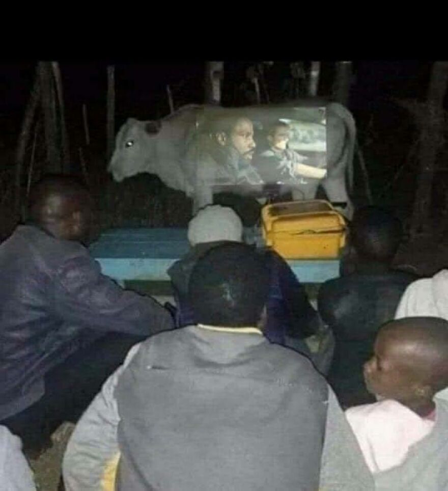 People watching a disturbing pic of a movie projected onto the side of a cow in the dark.