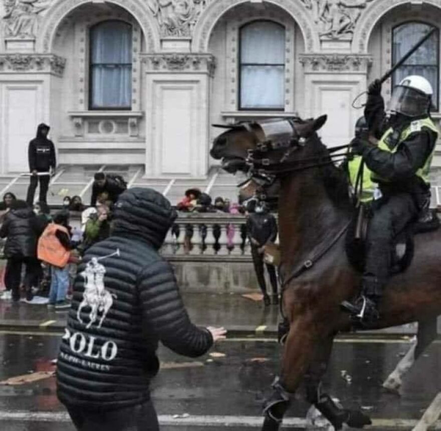 A chaotic scene with a person in a black jacket facing a mounted police officer, making it a disturbing pic.