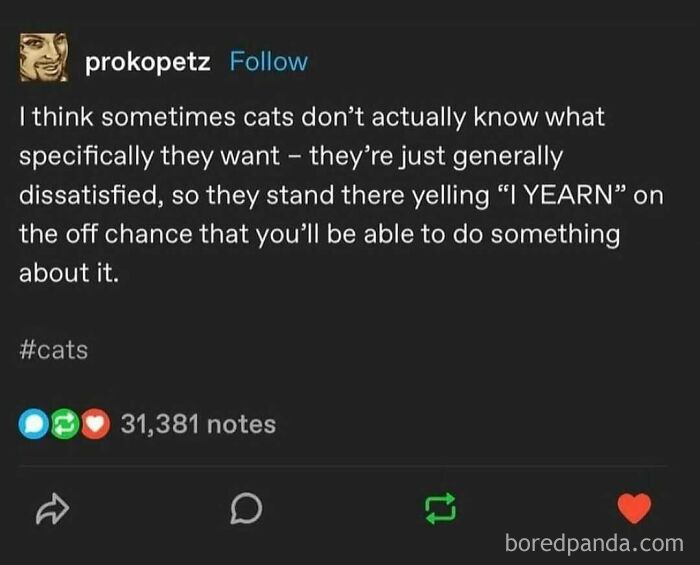 A funny meme on Twitter about cats being generally dissatisfied and yelling I YEARN.