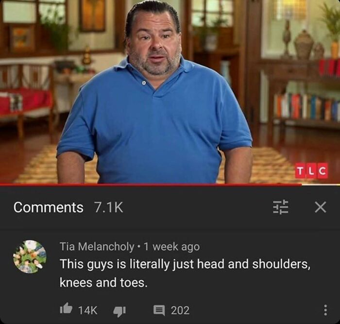 A man in a blue polo shirt on a YouTube video, with a witty comment describing his appearance below.