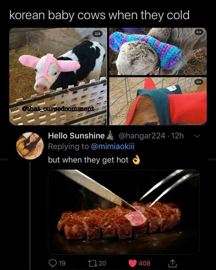 A social media post with images of baby cows in knitted accessories and a cooked steak, featuring a funny comment.