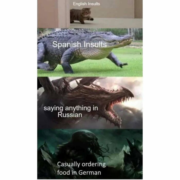 Meme depicting escalation of insults in English, Spanish, Russian, and German