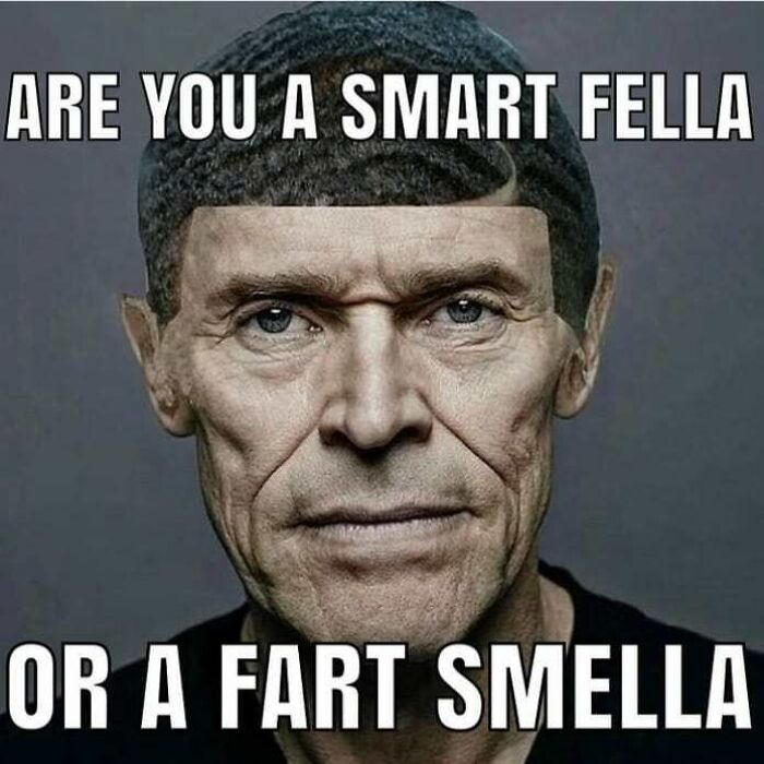 Edgy meme asking if you are a smart fella or a fart smella